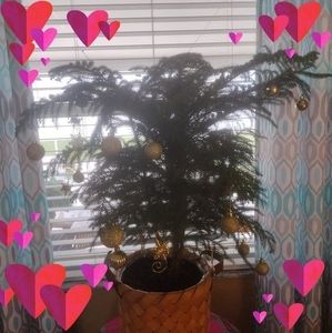 Meet your Posher, Barbara